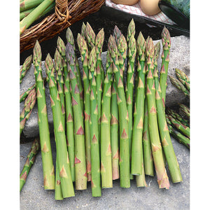 Mary Washington Asparagus