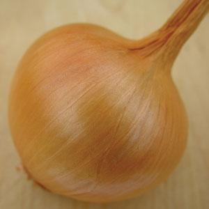 Onion 3 Plant-Pak